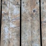 IMG_4962