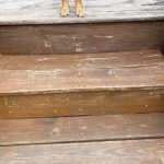 IMG_1661-Medium