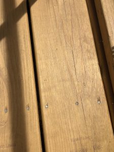 IMG_9819